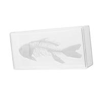 VICASKY Weeay - Set di campioni educativi a spina di pesce artificiale, modello di scheletro di pesce