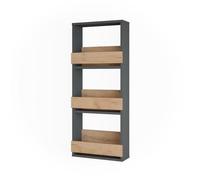 Vicco Scaffale a muro Repose, Rovere dorato/antracite, 40 x 98 cm