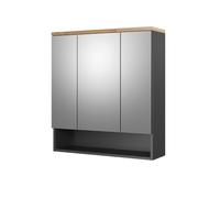 Vicco Specchio contenitore bagno Eden, Antracite, 70 x 77.5 cm | per montaggio a parete con suddivisione interna variabile