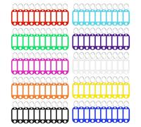 Vicloon 100 Pezzi Portachiavi Etichetta, 10 Colori Targhette Portachiavi Plastica Scrivibile, con Finestra per Etichetta ad Anello Diviso, per Contrassegnare Chiavi, Valigie, Animale Domestico