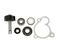 Vicma Water Pump Repair Kit For Majesty, X MAX, X-City, VERSITY 250
