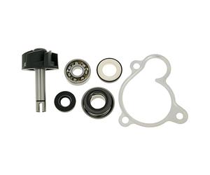 Vicma Water Pump Repair Kit For Majesty, X MAX, X-City, VERSITY 250