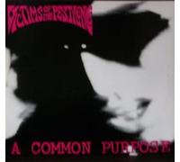 Victims Of The Pestilence - A Common Purpose
