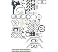 Reinz Set guarnizioni motore 01-29061-01 - Kit completo per FENDT 300 4.0 (2003-2008)