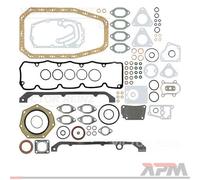 Victor Reinz 01-33951-07 Set Completo di Guarnizioni Motore per Fiat Iveco
