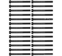 REINZ 14-10024-01 Kit bulloni testata