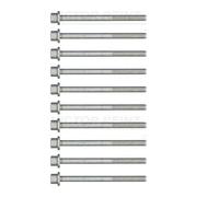 Victor Reinz 14-32038-01 Set Di Viti Per Testata Per Opel Ascona C CC