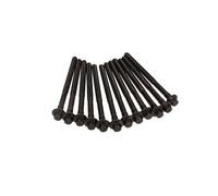 Victor Reinz 14-32305-01 Set Di Viti Per Testata Per Volvo C30 C70 II