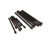 Victor Reinz 14-32314-01 Set Di Viti Per Testata Per BMW E81 E87 E46 E90