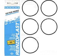 VICTOR REINZ 15-76741-02 Guarnizione Set, Cilindro Coperchio Testa per Volvo