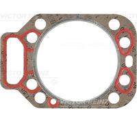 REINZ 61-24305-30 Guarnizione testata