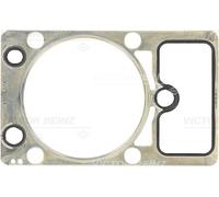 REINZ 61-36485-10 Guarnizione testata