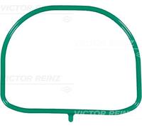 Reinz Guarnizione collettore di aspirazione 71-35537-00 per Ford/Volvo/Mazda