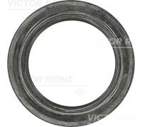 Paraolio Albero camme Per FORD TRANSIT Autobus 2.5 TD Autobus 74Kw 9/1991>