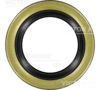 VICTOR REINZ 81-45203-00 Paraolio, Albero a gomiti per IVECO