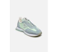 Victoria - COSMOS SERRAJE MONOCOLOR Verde - Sneakers 36 Verde