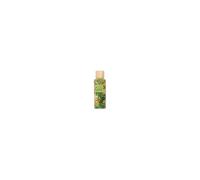Victoria´s secret Spray corpo Melon Drench 250 ml