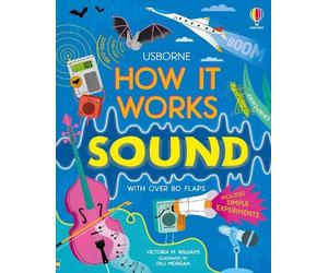 Victoria Williams How It Works: Sound (Libro di cartone) How It Works