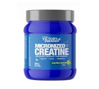 Victory Endurance Performance Creatine (300g) Gusto Fresh Mint, Creatina Creapure, Con AstraGin per assorbimento ottimale, Aumenta le Prestazioni Fisiche, Senza Zucchero, Vegano