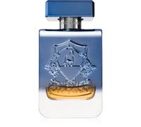 Victory Mercury Eau de Parfum unisex 100 ml