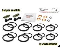 Victory V92TC Touring Cruiser 1507/92 2006 Pinza Freno Anteriore Sigillo Kit