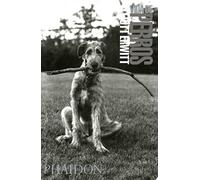 Vida De Perros / Dog Dogs