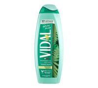 VIDAL BAGNODOCCIA MUSCHIO500ML
