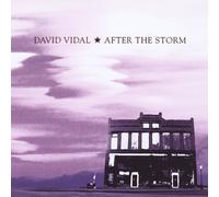 Vidal, David - After The Storm