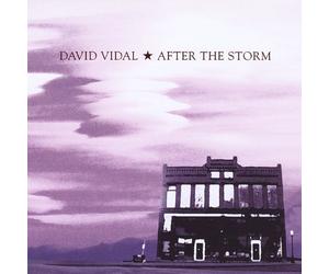 Vidal, David - After The Storm