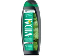 vidal Peppermint & Ginkgo Docciaschiuma rinfrescante Menta e gingko Bilboa 250 ml