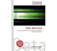 Vidar Bjørnstad: Norwegian Labour Party, Second Cabinet Brundtland, Amnesty International