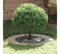 vidaXL adatto per Anelli d'Albero Piatto 5 pcs Argento Ø50 / 80 cm