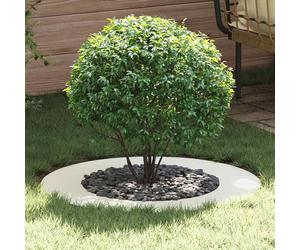 vidaXL adatto per Anello d'Albero Piatto Bianco Ø50/80 cm Acciaio
