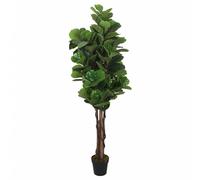 vidaXL Albero Ficus Lyrata 232 Foglie 180 cm Verde