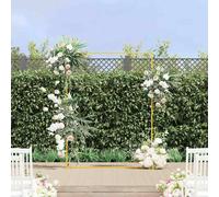vidaXL Arco Nuziale Oro 150 x 49,5 x 200 cm Acciaio