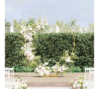 vidaXL Arco Nuziale Oro 195 x 35 x 211 cm Acciaio