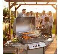 vidaXL Barbecue a Gas con Griglia 2 Fornelli Argento Acciaio Inox
