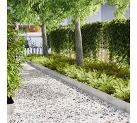 vidaXL Bordature per Giardino 20 pz 100x0,5x20 cm Acciaio Inossidabile