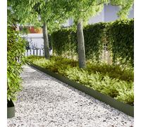 vidaXL Bordature per Prato 20 pezzi Verde Oliva 100x0.5x20 cm Plastica