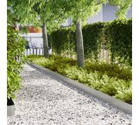vidaXL Bordature per Prato 30 pcs 100x0.5x20 cm Acciaio Zincato