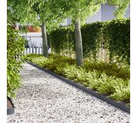 vidaXL Bordi Erba 30 pezzi Antracite 100x0.5x15 cm Plastica