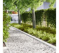 vidaXL Bordi per Prato 10 pz Bianco 100x0,5x15 cm Plastica