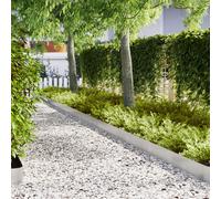 vidaXL Bordi Prato 10 pcs 100x0.5x20 cm Acciaio Inossidabile