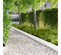 vidaXL Bordura per Prato 10 pcs 103 x 20 cm metallo Bianco
