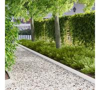 vidaXL Bordura per Prato 10 pz 103 x 10 cm Acciaio Bianco