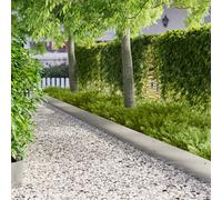 vidaXL Bordura per Prato 10 pcs 103 x 25 cm Acciaio Argento, Confine Giardino in Acciaio, Bordo Moderno e Flessibile per Sentieri, Barriera Resistente all'Umidità per Giardino