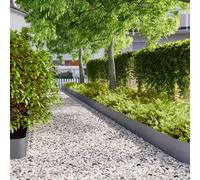 vidaXL Bordure per Prato 10 pz Antracite Acciaio Laminato a Freddo, Bordatura del Bordo del Giardino, Bordatura del Letto del Giardino, Bordo del Giardino