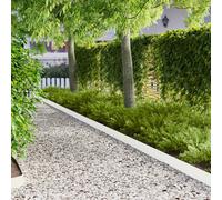 vidaXL Bordura per Prato 20 pcs 103 x 15 cm metallo Bianco