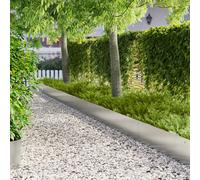 vidaXL Bordura per Prato 20 pz 103 x 30 cm Acciaio Argento