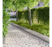 vidaXL Bordura per Prato 20 pz 103 x 30 cm Acciaio Argento